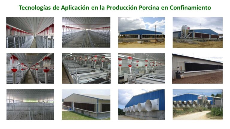 Tecnologías de Aplicación en Producción Porcina en Confinamiento
