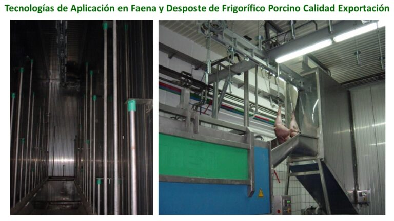 Tecnologías de Aplicación en Faena y Desposte Frigorífico Porcino